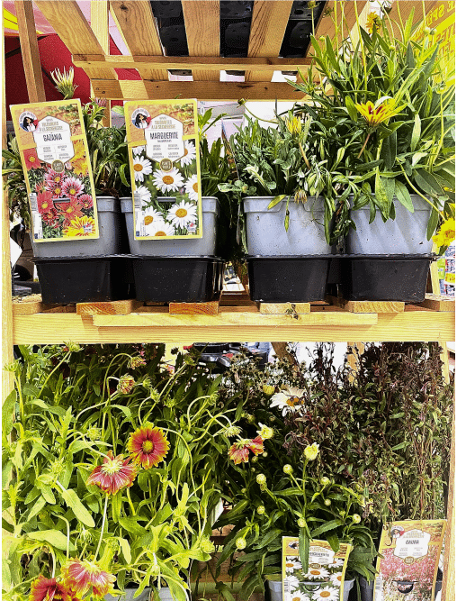 graines magasin de jardinage leclerc foix