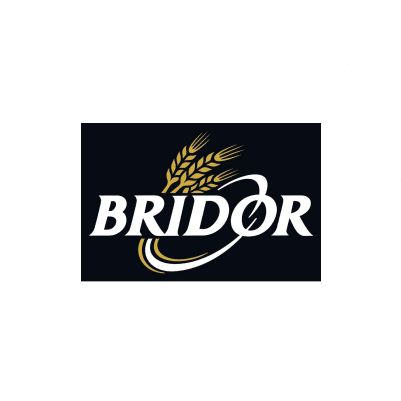 logo bridor