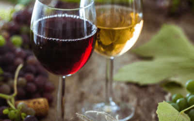 Comment bien choisir son vin ? Le guide de nos sommeliers