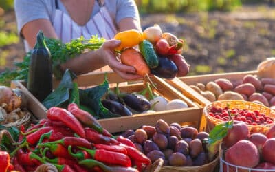 La sélection de produits locaux : découvrez les saveurs de notre région chez E.Leclerc Foix