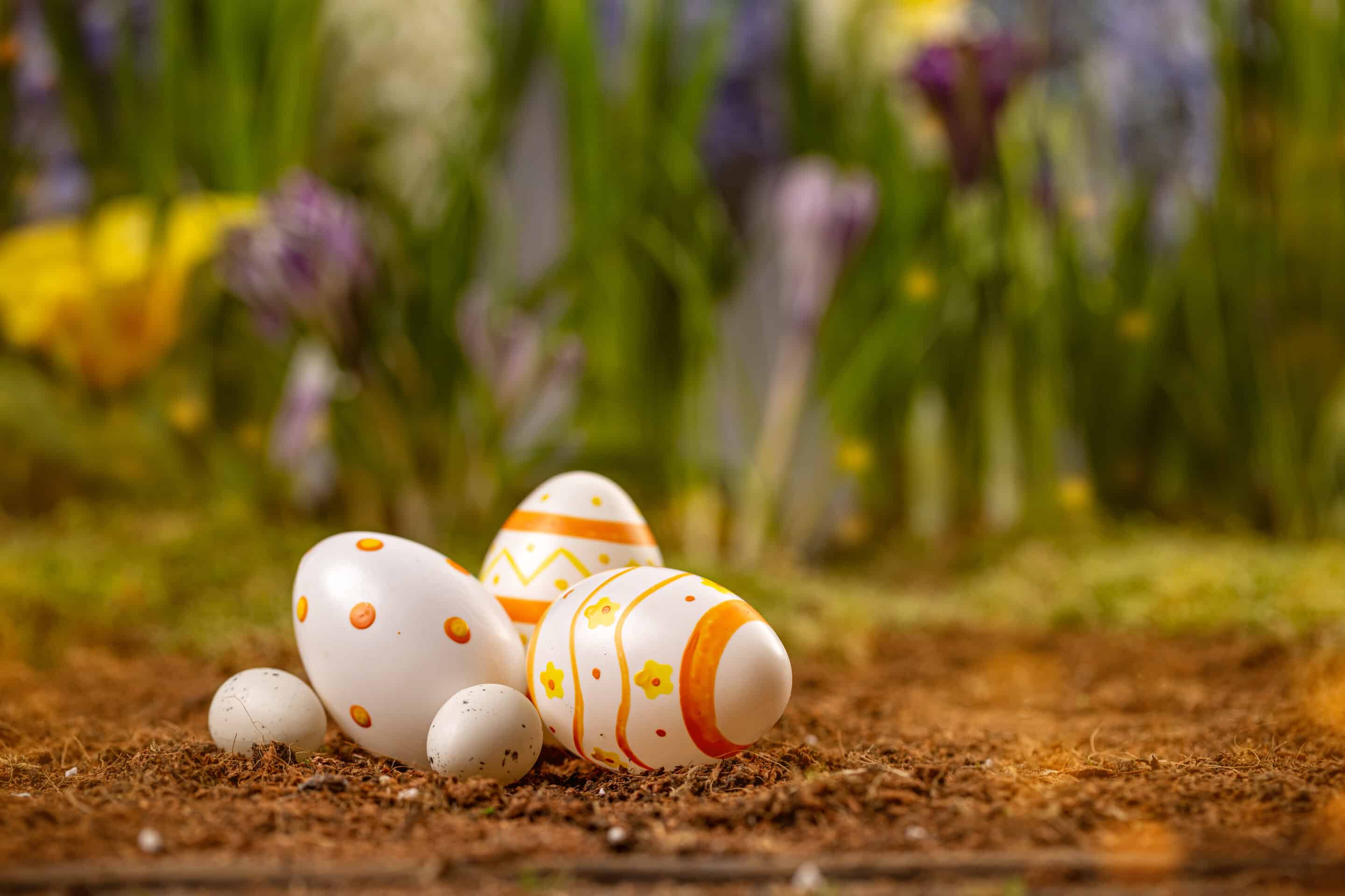 Pâques à Foix : idées gourmandes à partager chez E.Leclerc Foix