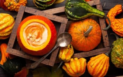 Recettes d&rsquo;automne en Ariège : potiron, azinat et cèpes